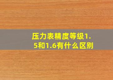 压力表精度等级1.5和1.6有什么区别