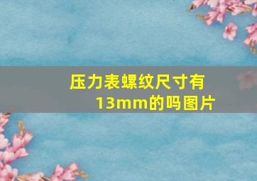 压力表螺纹尺寸有13mm的吗图片