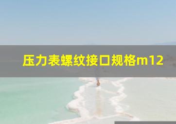 压力表螺纹接口规格m12