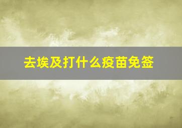 去埃及打什么疫苗免签