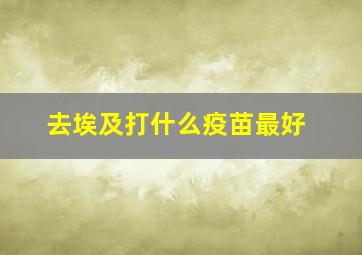 去埃及打什么疫苗最好