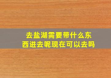 去盐湖需要带什么东西进去呢现在可以去吗