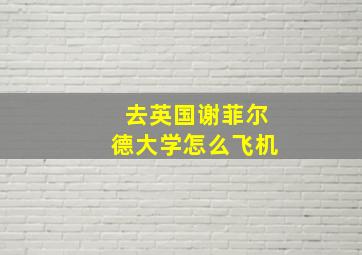 去英国谢菲尔德大学怎么飞机