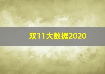 双11大数据2020