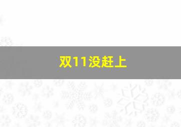 双11没赶上