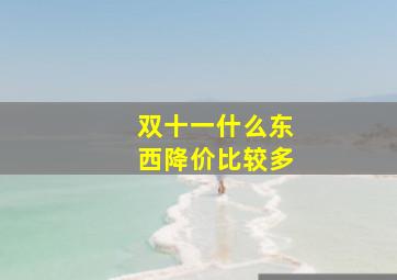 双十一什么东西降价比较多