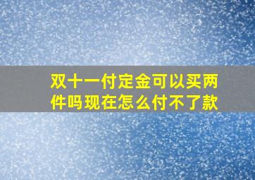 双十一付定金可以买两件吗现在怎么付不了款