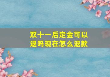 双十一后定金可以退吗现在怎么退款