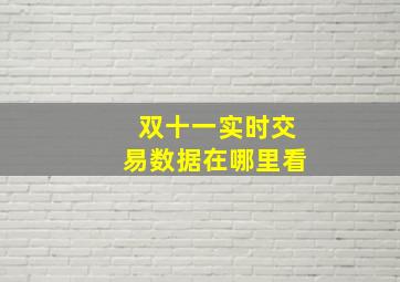 双十一实时交易数据在哪里看