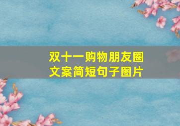 双十一购物朋友圈文案简短句子图片