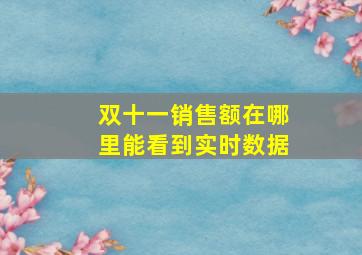 双十一销售额在哪里能看到实时数据