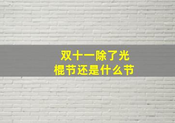 双十一除了光棍节还是什么节