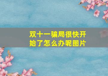 双十一骗局很快开始了怎么办呢图片