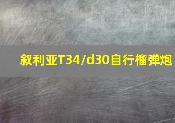 叙利亚T34/d30自行榴弹炮