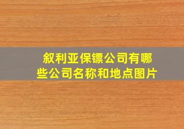 叙利亚保镖公司有哪些公司名称和地点图片