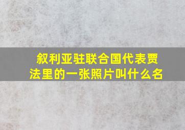 叙利亚驻联合国代表贾法里的一张照片叫什么名