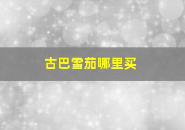 古巴雪茄哪里买