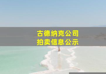 古德纳克公司拍卖信息公示