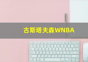 古斯塔夫森WNBA