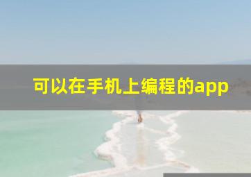 可以在手机上编程的app