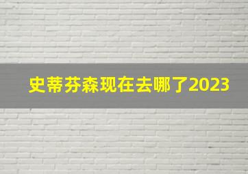 史蒂芬森现在去哪了2023