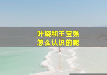 叶璇和王宝强怎么认识的呢