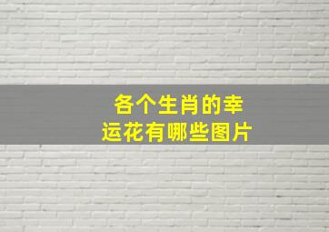 各个生肖的幸运花有哪些图片