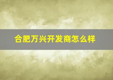 合肥万兴开发商怎么样