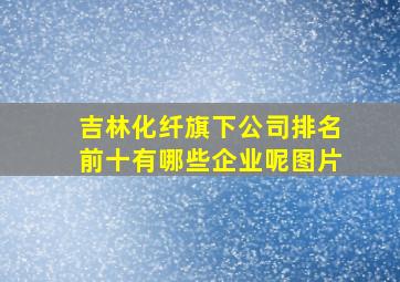 吉林化纤旗下公司排名前十有哪些企业呢图片