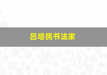 吕培民书法家