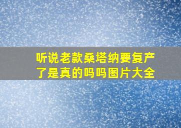 听说老款桑塔纳要复产了是真的吗吗图片大全