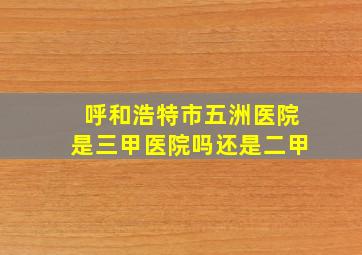 呼和浩特市五洲医院是三甲医院吗还是二甲