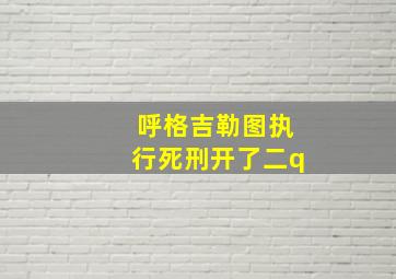 呼格吉勒图执行死刑开了二q