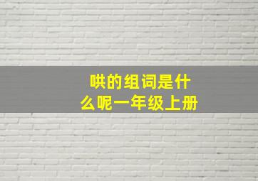 哄的组词是什么呢一年级上册