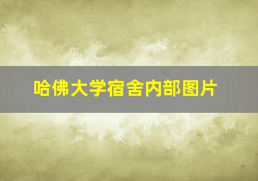 哈佛大学宿舍内部图片