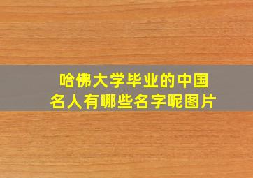 哈佛大学毕业的中国名人有哪些名字呢图片