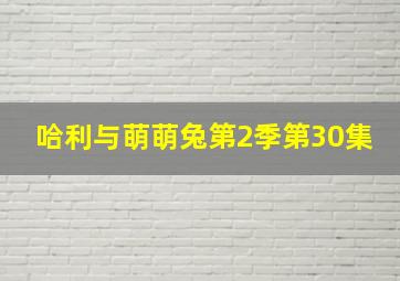 哈利与萌萌兔第2季第30集