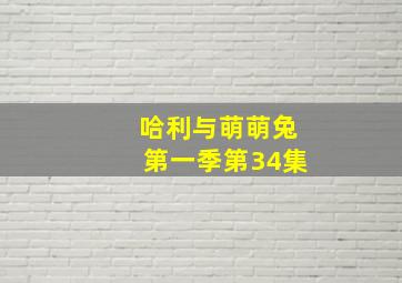 哈利与萌萌兔第一季第34集