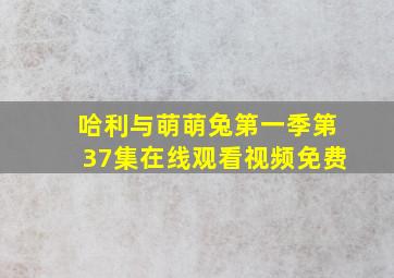 哈利与萌萌兔第一季第37集在线观看视频免费