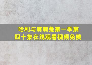 哈利与萌萌兔第一季第四十集在线观看视频免费