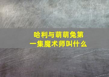 哈利与萌萌兔第一集魔术师叫什么