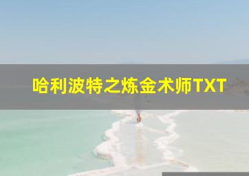 哈利波特之炼金术师TXT