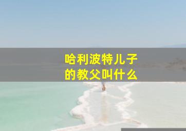 哈利波特儿子的教父叫什么