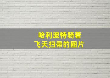 哈利波特骑着飞天扫帚的图片