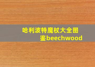 哈利波特魔杖大全图鉴beechwood