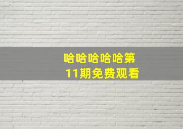 哈哈哈哈哈第11期免费观看