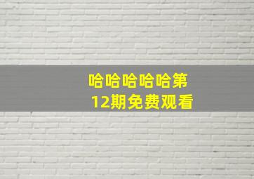 哈哈哈哈哈第12期免费观看