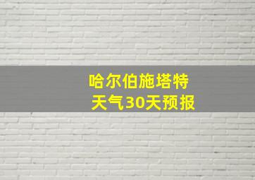 哈尔伯施塔特天气30天预报