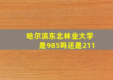 哈尔滨东北林业大学是985吗还是211