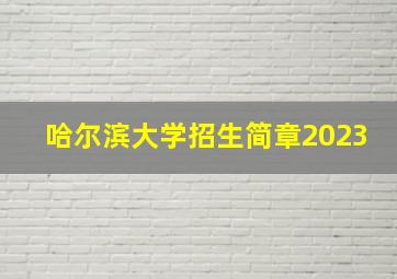 哈尔滨大学招生简章2023